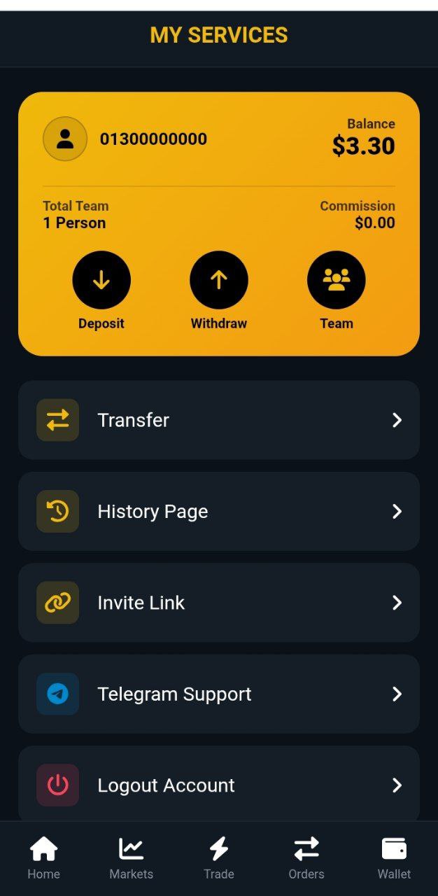 Wallet and services screen with balance, deposit, withdraw, and team tools